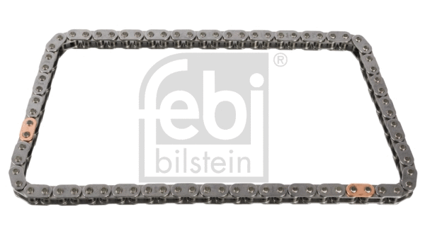 Timing Chain (31003)