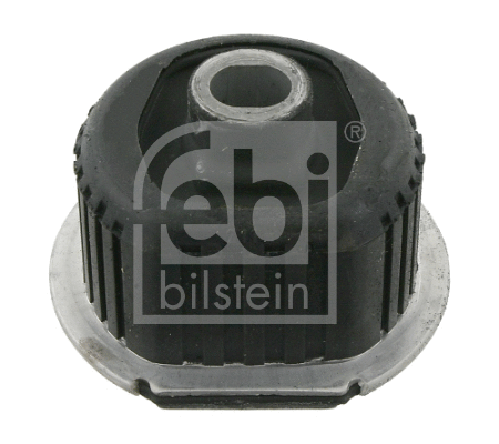 Bushing, axle beam (06674)