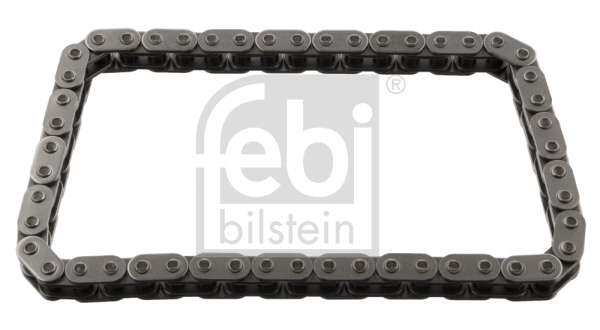 Timing Chain (25362)