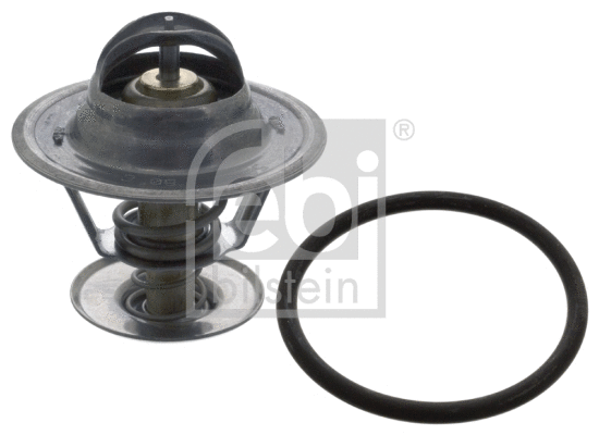 Thermostat, coolant (18290)