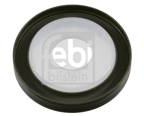 Shaft Seal, crankshaft (21209)