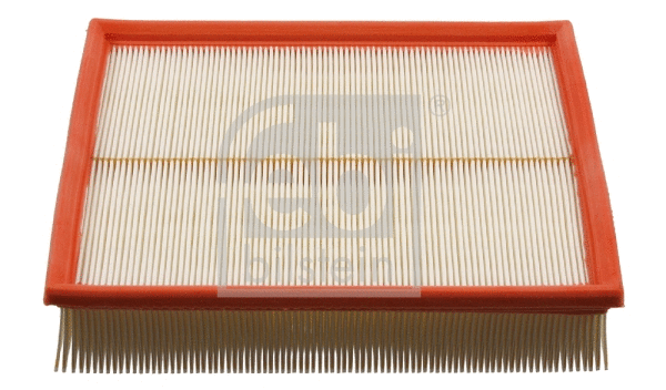 Air Filter (30362)