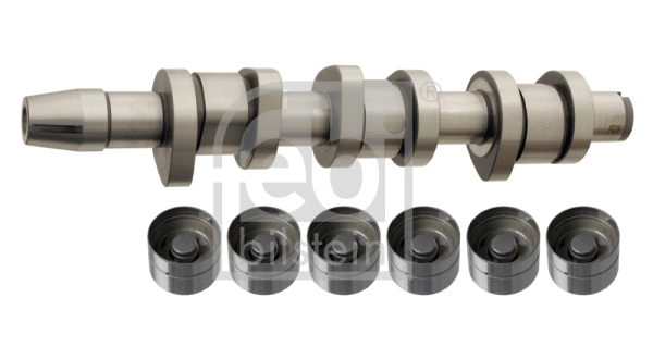 Camshaft Kit (33017)