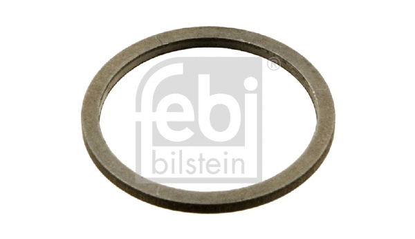 Seal, timing chain tensioner (30413)