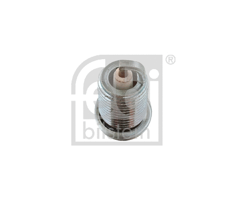 Spark Plug
