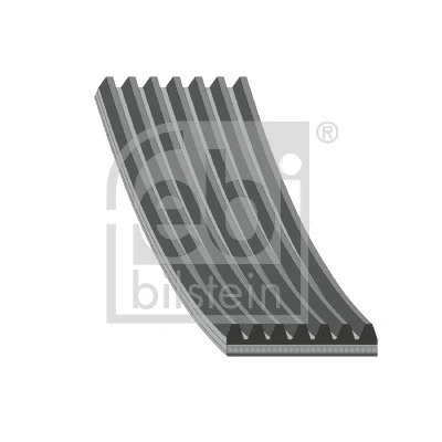 V-Ribbed Belt (181905)