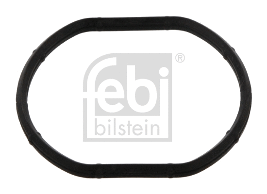 Seal, thermostat (33685)