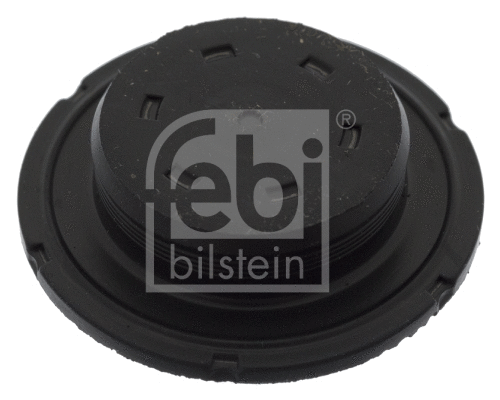 Frost Plug (49353)