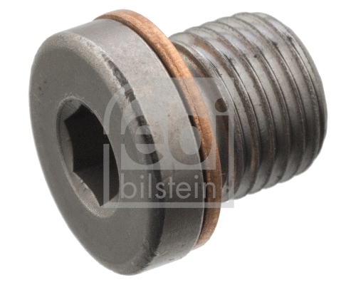 Screw Plug, axle drive (101021)