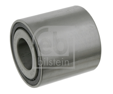 Wheel Bearing (21844)