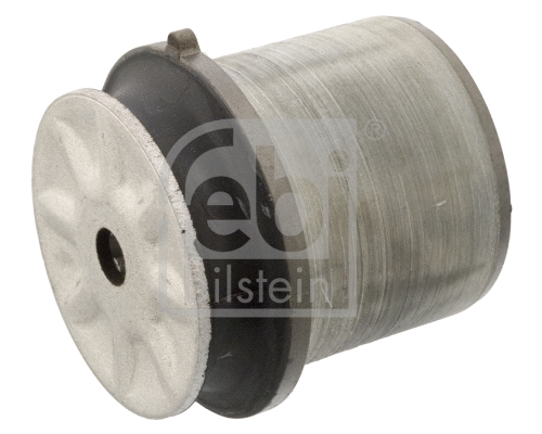Bushing, axle beam (40800)