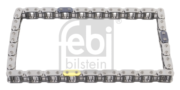 Timing Chain (108005)