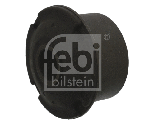 Mounting, control/trailing arm (08946)
