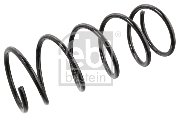 Suspension Spring (104697)