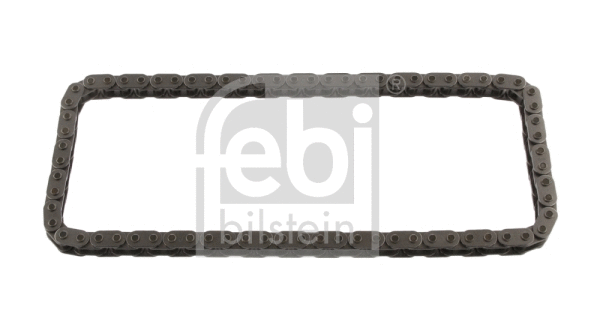 Timing Chain (36075)