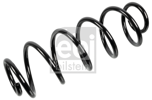 Suspension Spring (174712)