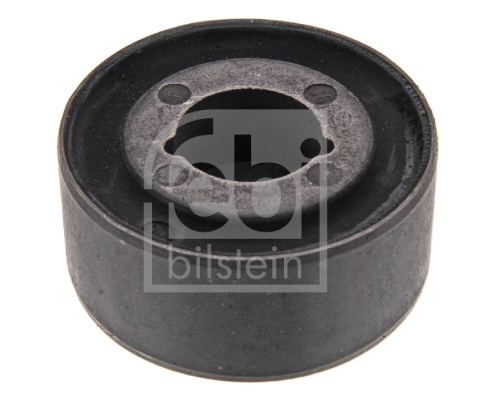 Mounting, differential (12399)