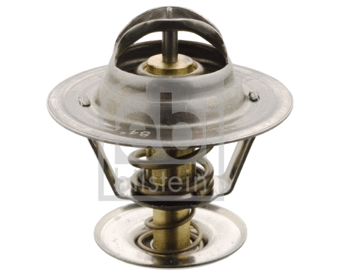 Thermostat, coolant (17884)