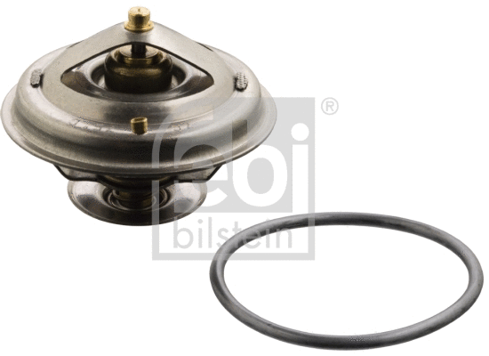 Thermostat, coolant (18294)
