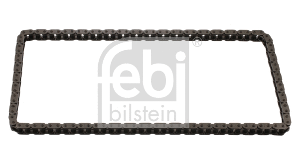 Timing Chain (40273)