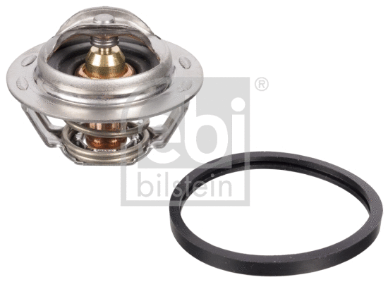 Thermostat, coolant (104766)