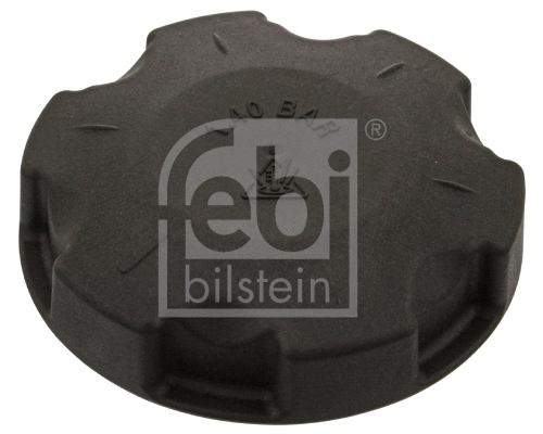 Cap, coolant tank (46221)
