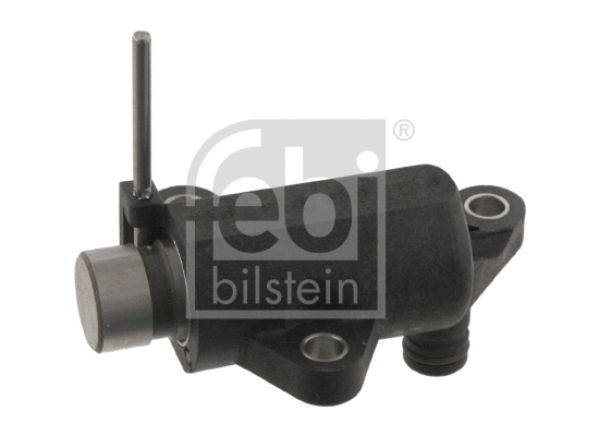 Tensioner, timing chain (09221)