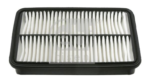Air Filter (27270)