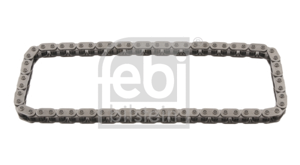 Timing Chain (29858)