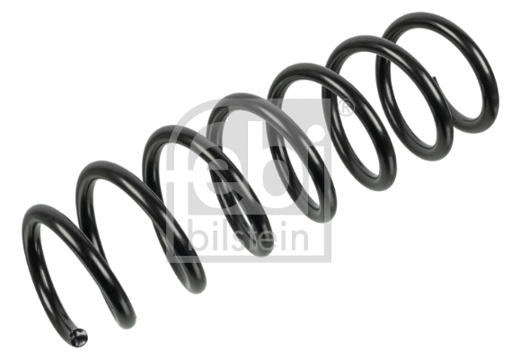 Suspension Spring (174185)