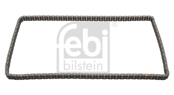 Timing Chain (25507)