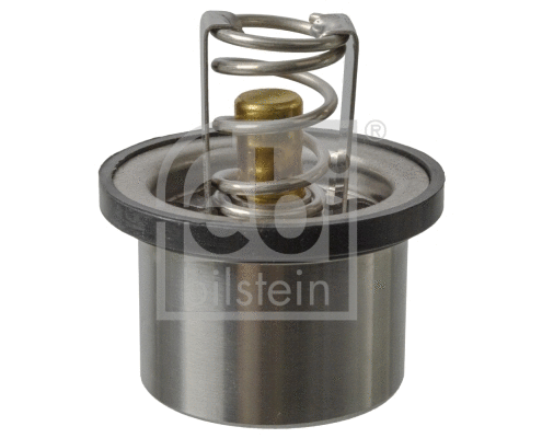 Thermostat, coolant (170604)