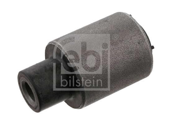 Mounting, control/trailing arm (34284)