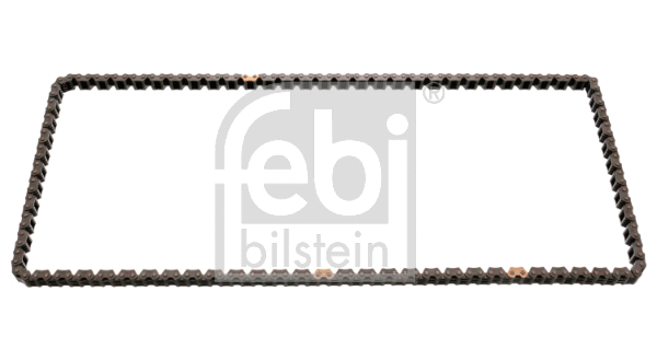 Timing Chain (49720)