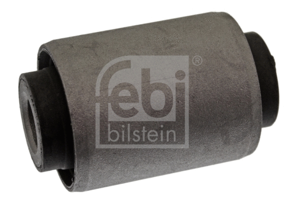 Mounting, control/trailing arm (42010)