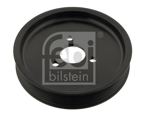 Belt Pulley, power steering pump (30123)
