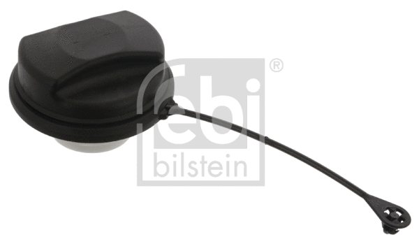 Cap, fuel tank (45425)