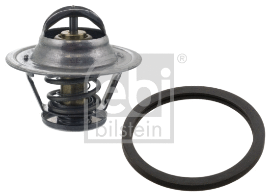 Thermostat, coolant (21003)