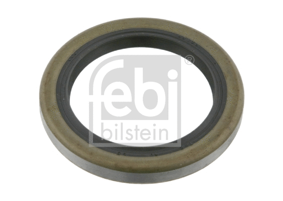 Shaft Seal, wheel hub (08081)