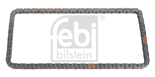 Timing Chain (106641)