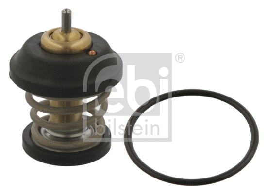 Thermostat, coolant (34876)