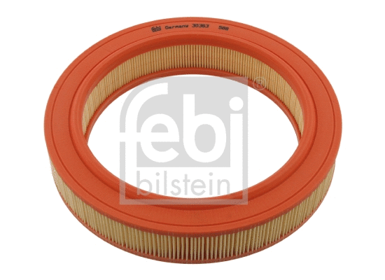 Air Filter (30363)