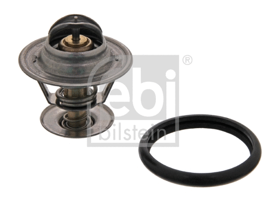 Thermostat, coolant (18979)