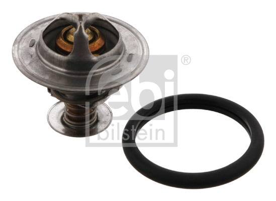 Thermostat, coolant (33493)