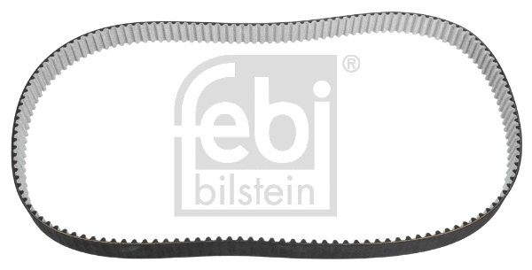 Timing Belt (31725)