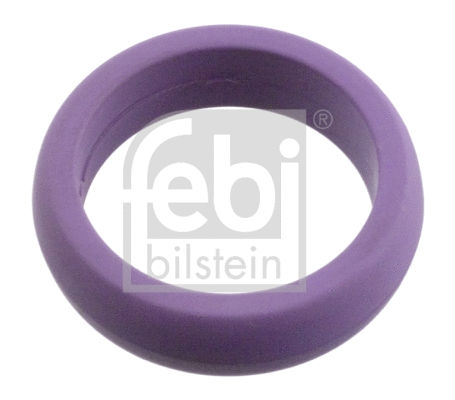 Seal Ring (104817)