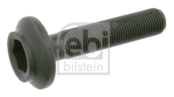 Screw (05919)