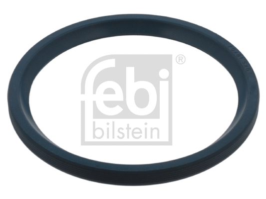 Shaft Seal, wheel bearing (18935)