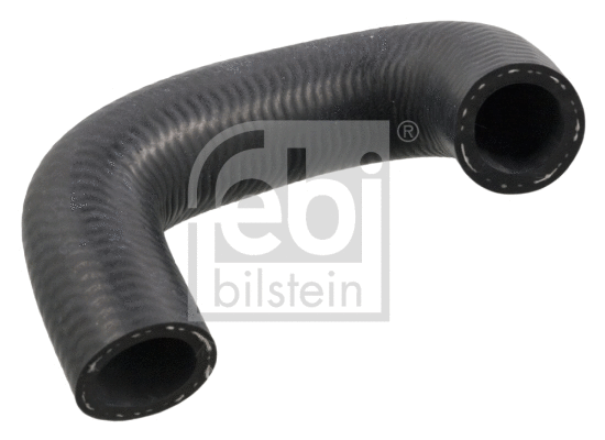 Radiator Hose (102592)