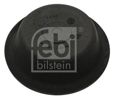 Diaphragm, diaphragm brake cylinder (07102)